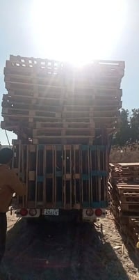 07725251334 سكيبه 6بيه مجال الوحته