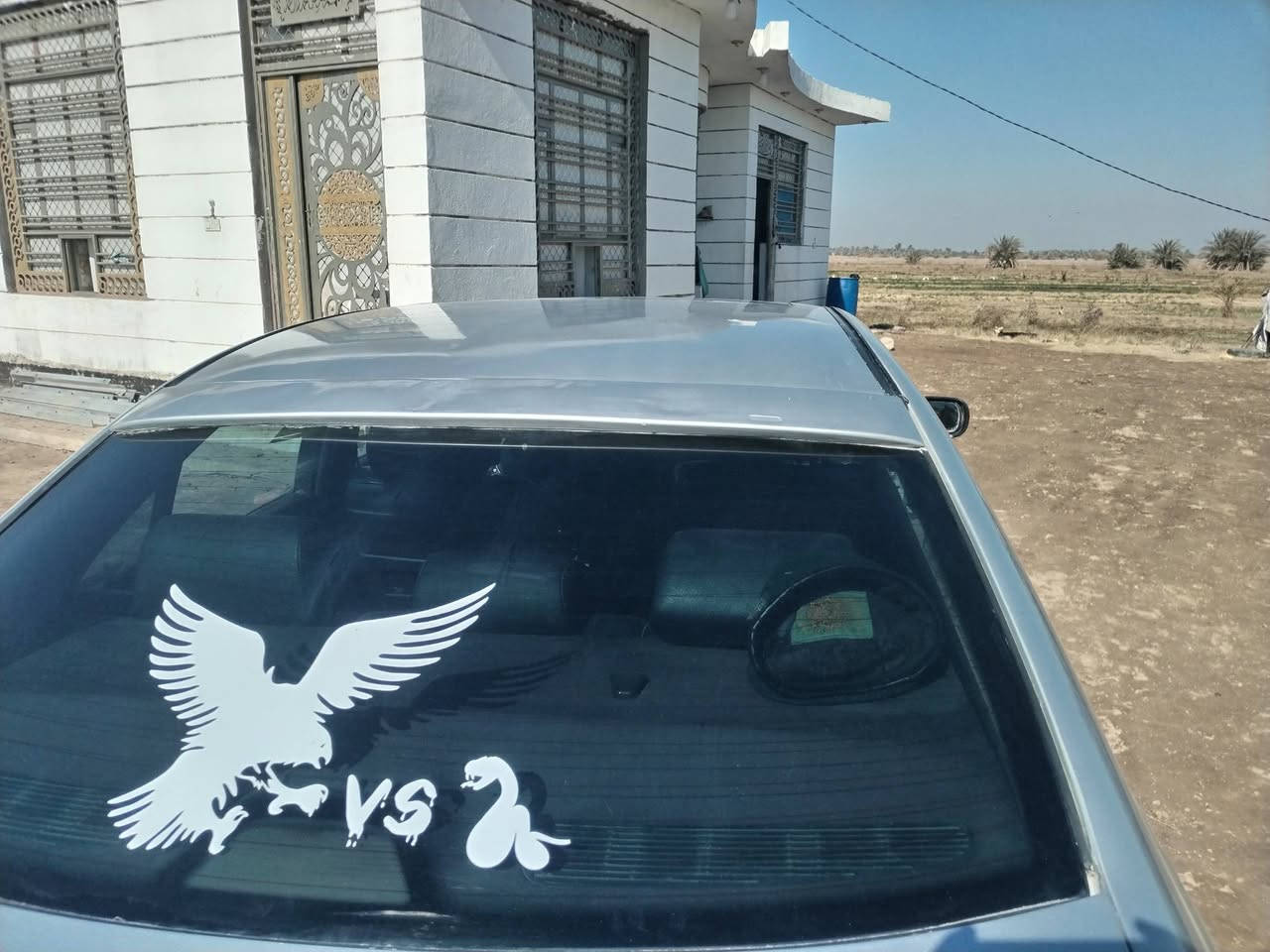 البيع *********** تفاصيل وتشلع عيوني مكانه القاسم
