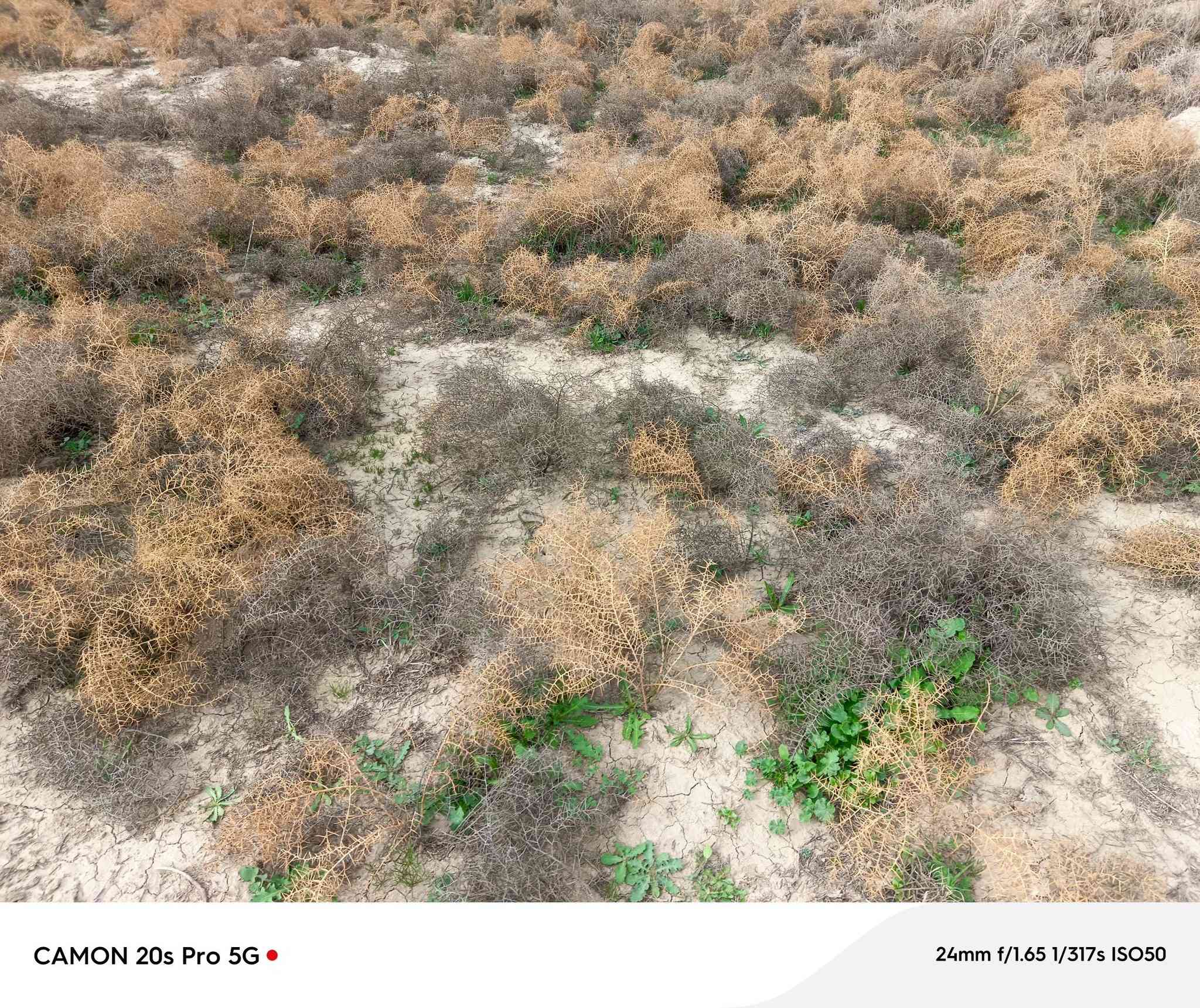 دونمين بسعر مناسب شاطي على النهر منطقة الامام المهدي بعد الجسر تفاصيل السعر عل خاص


**إذا كنت صاحب هذا الإعلان وتريد حذفه لأي سبب، رجاءا أرسل رسالة إلى الدعم الفني**