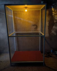 قفص حديد • بلابل بغبغاء • ارتفاع ١٧٥سم