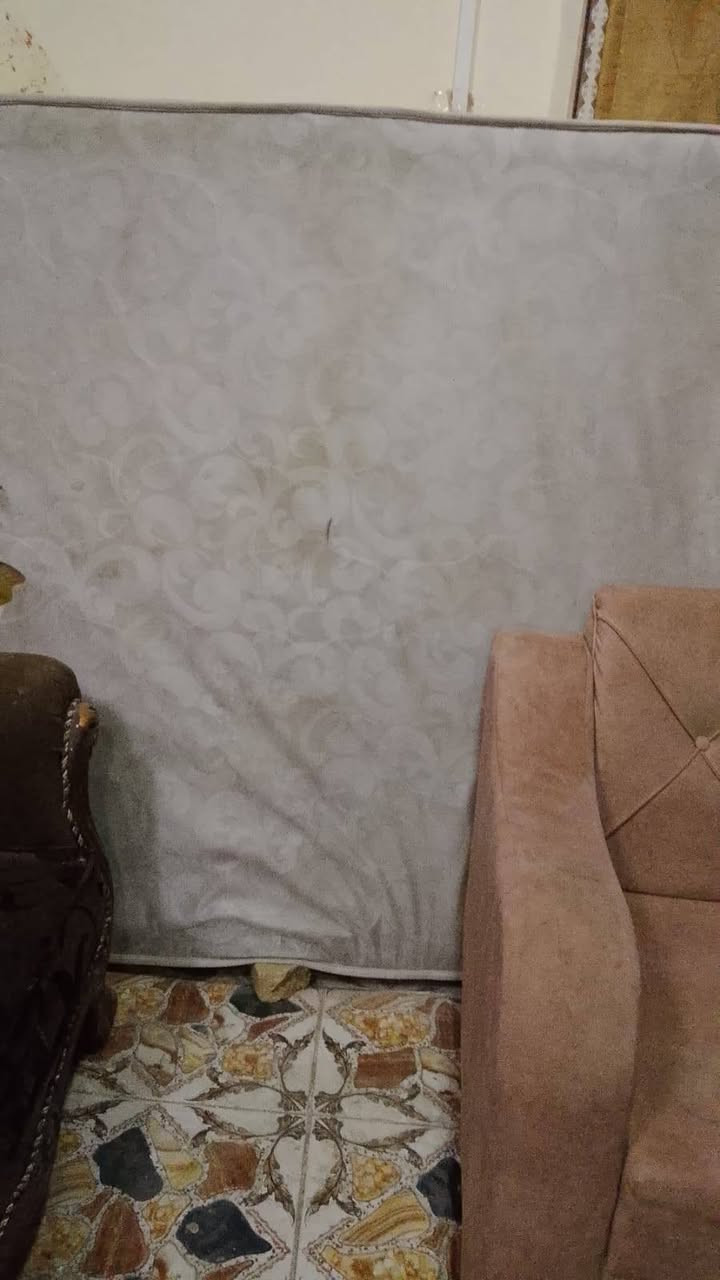 تخم ملكي للبيع نضيف شوف عينك ب200
تفاصيل وتساب ‏‪***********‬‏
دوشك البيع ب50بعده جديد حته مانزل عنون ام العصافير
