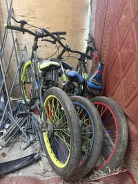 ٣ دراجات • زناجيل • مشتل