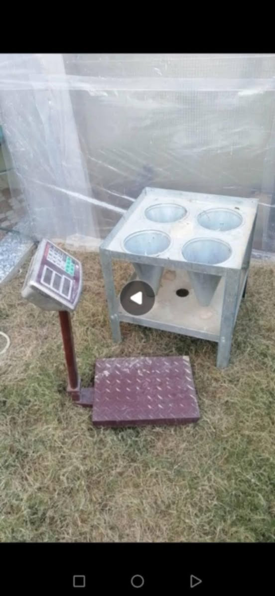 للبيع صماطه ومذبحه وميزان
مستخدمات يوم واحد ابيعن شلع مكاني تكريت الديوم ***********
***********
