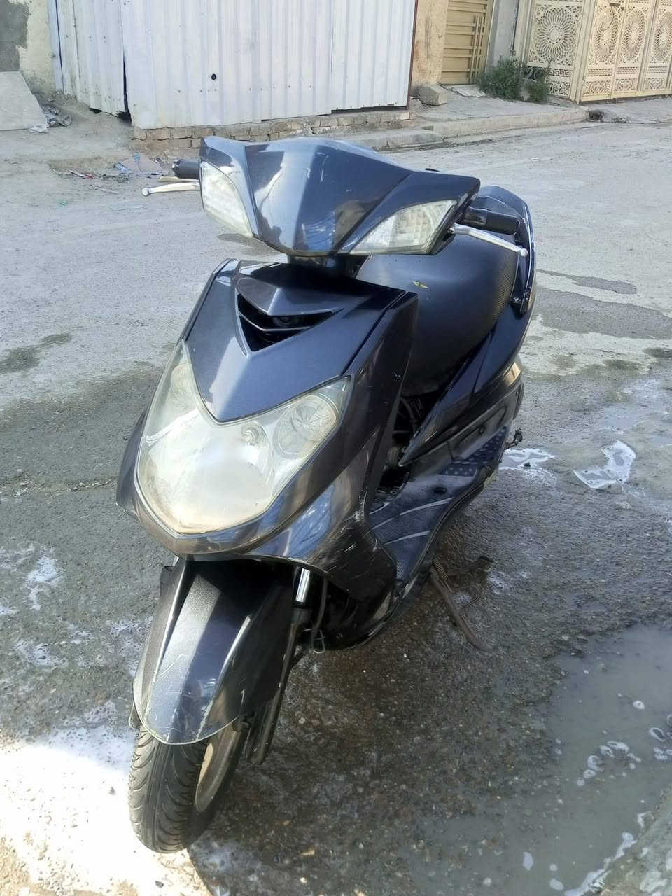 سكنس فحل للبيع بوشة 58سعر550
***********
