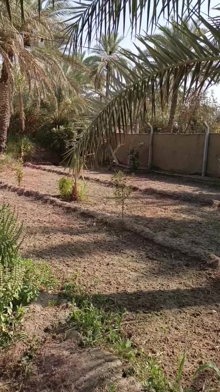 السلام عليكم المساحه دونم سند 25 تحويل باسم المشتري الواجهيه مالته 65 متر شارع سيده زينب منطقه الجريه يبعد عن شارع السيده زينب مال القارب كيلو وربع تبليط عن التبليط 700 متر عن طريق الابراهيميه ما يقارب 500 متر تبليط عن التبليط 700 متر كافه الخدمات متوفره سعر 150 مليون وقابل للتفاوض الاستفسار اكثر الاتصال***********
