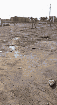 وتساب
***********
