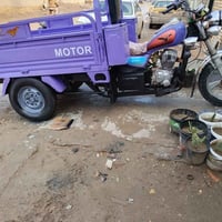 ستوته • صبغ حراري • كفاله عامه