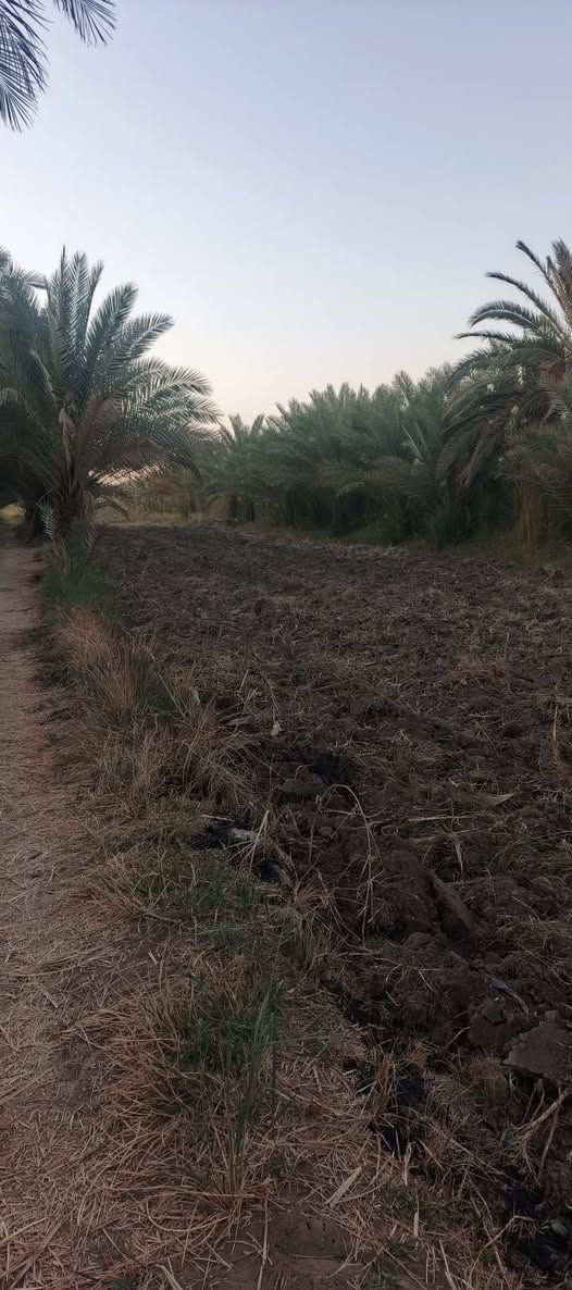 السلام عليكم
دونم ونص سند 25مع ثلاث بيوت بناء سقف سندويش في كربلاء طويريج نزله لعيوج كافه الخدمات كهرباء مولد ذهبي ماء سقي وماء اساله سعر 93  للاستفسار اكثر  ‏‪***********‬‏
