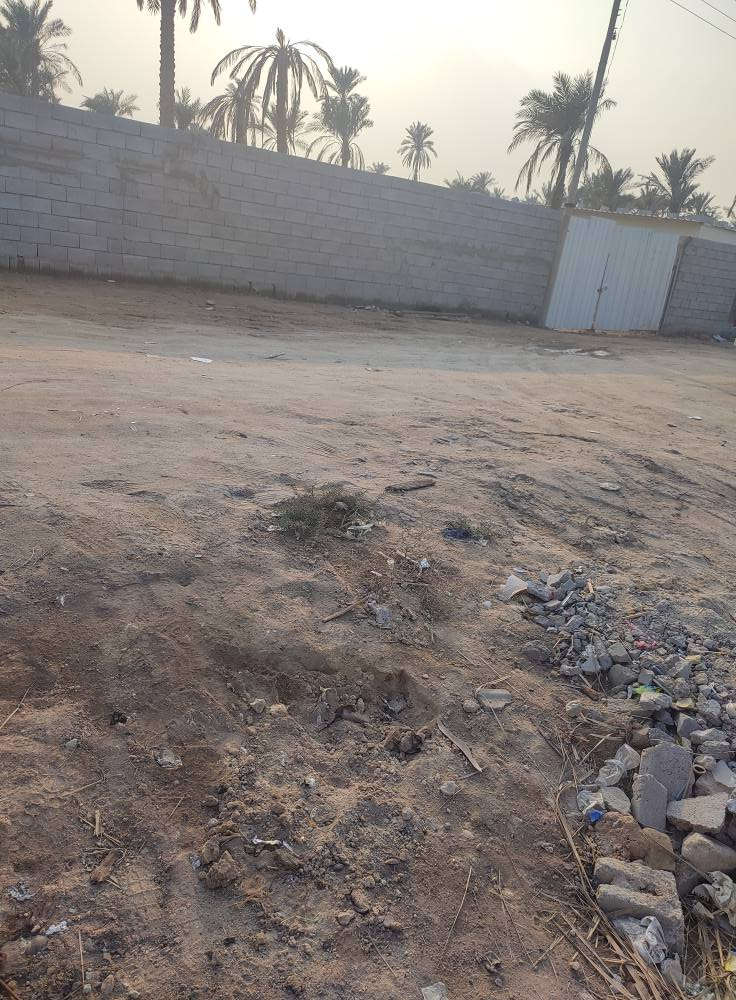 ارض للبيع مساحة 600متر طابو زراعي 
العنوان البصرة ابي الخصيب باب طويل
جميع الخدمات متوفرة
السعر 35مليون قابل التفاوض
للاستفسار ***********/*********** البصرة, العراق
