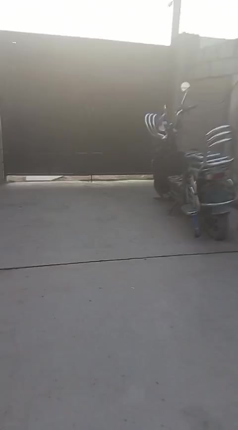 هارلي جبلي للبيع السعر
350 وعلى الفحص الاتصال و الاستفسار 
على الرقم 
***********
