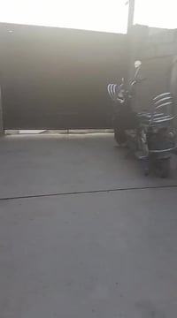 هارلي جبلي للبيع السعر 350 وعلى الفحص الاتصال و الاستفسار  على الرقم  ...