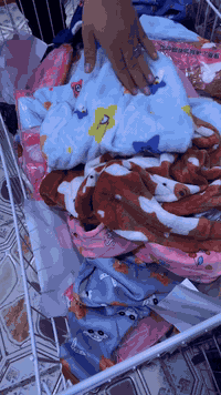 اوفر اطفال ولادي بناتي 
السعر 2500 دينار 
العنوان كوت حي الجهاد مقابل جامع الامام السجاد 
تنزيلات ارخص الاسعار 
***********
