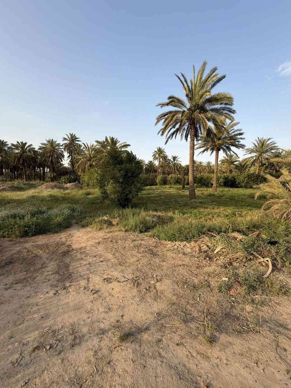 ‏سلام عليكم الف متر للبيع الواجهة 20 نزال 50 طابو زراعي سند 25 العنوان الدورة البوعيثه قرب مركز الشرطة سعر مناسب للاستفسار ***********
