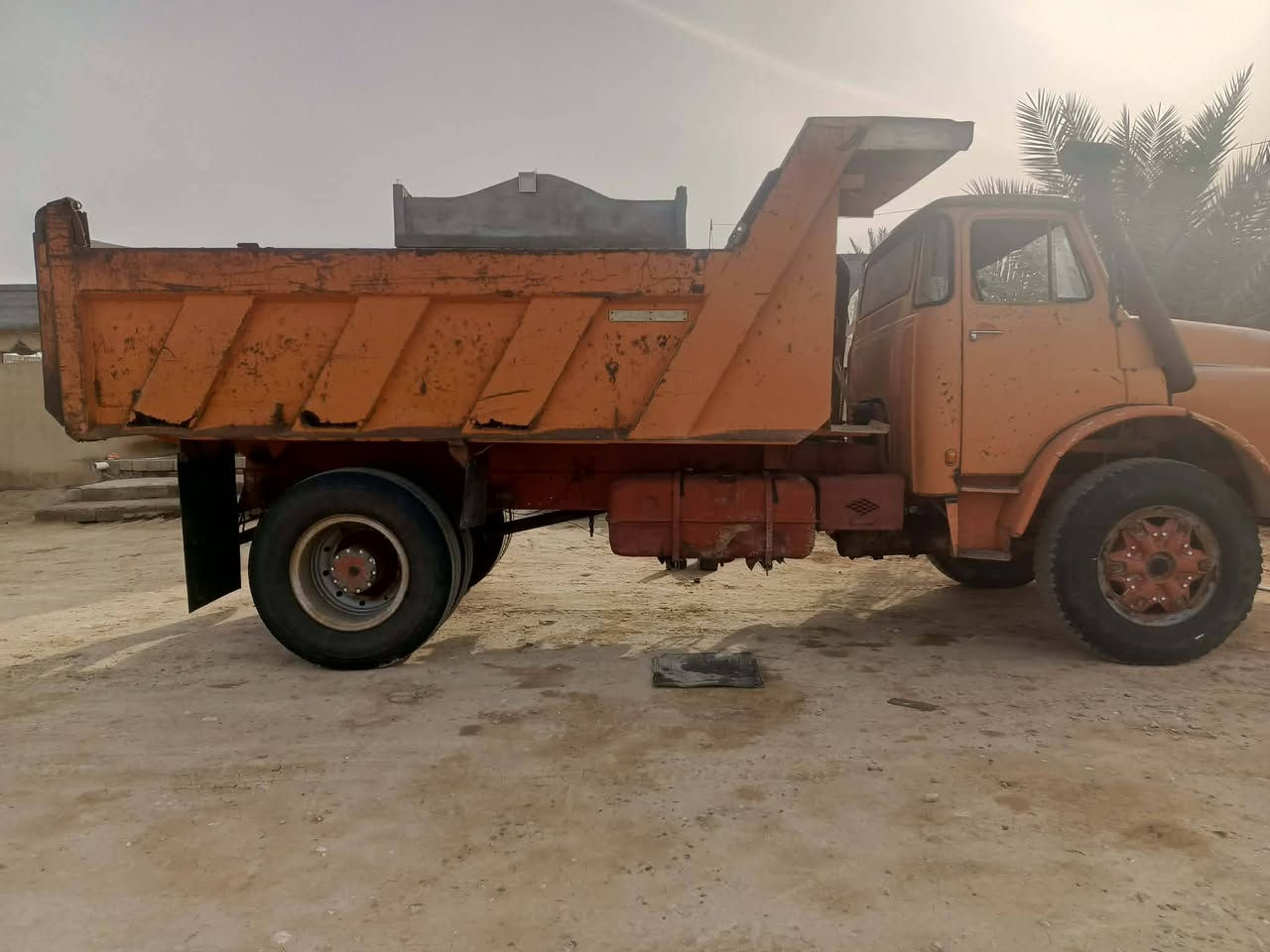 كلابه للبيع ***********
