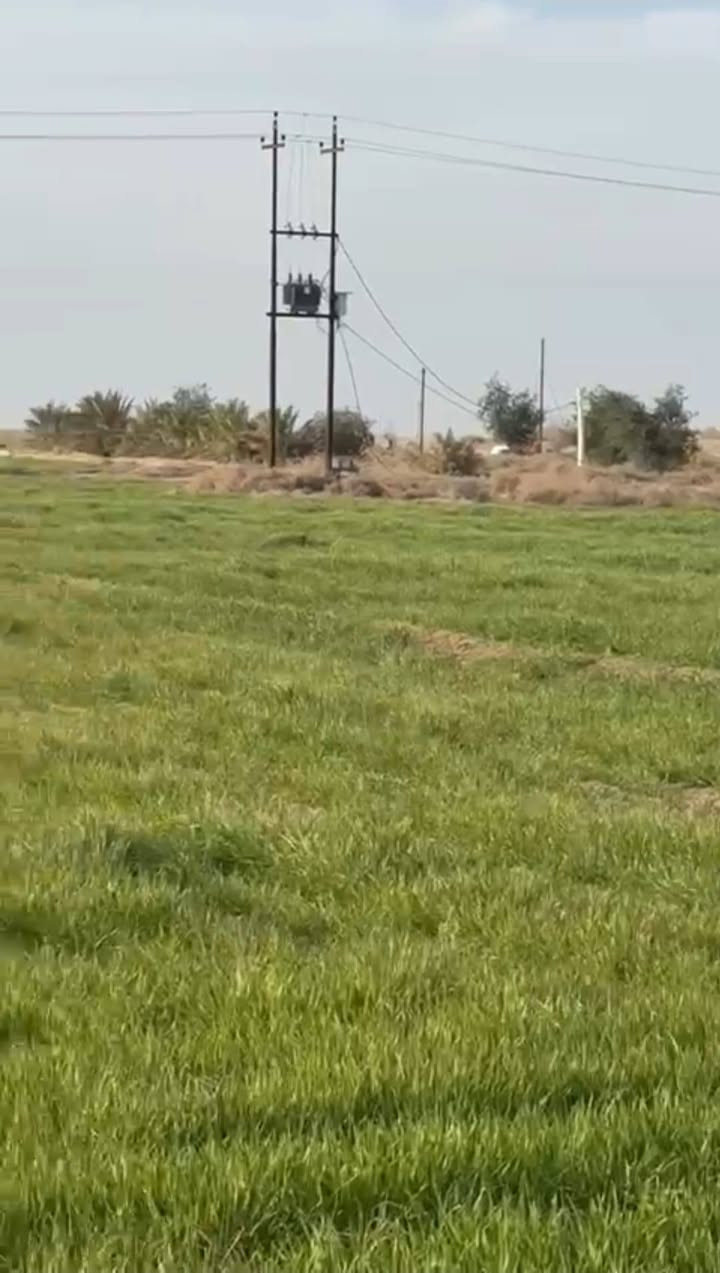 ارض زراعي ١٣٧دونم بالرحاب بيه بير وماطور الارض معدله ليزر ومزروعه حالياً وبيه بيت وبيه ٤٠ نخله وسدر
***********
