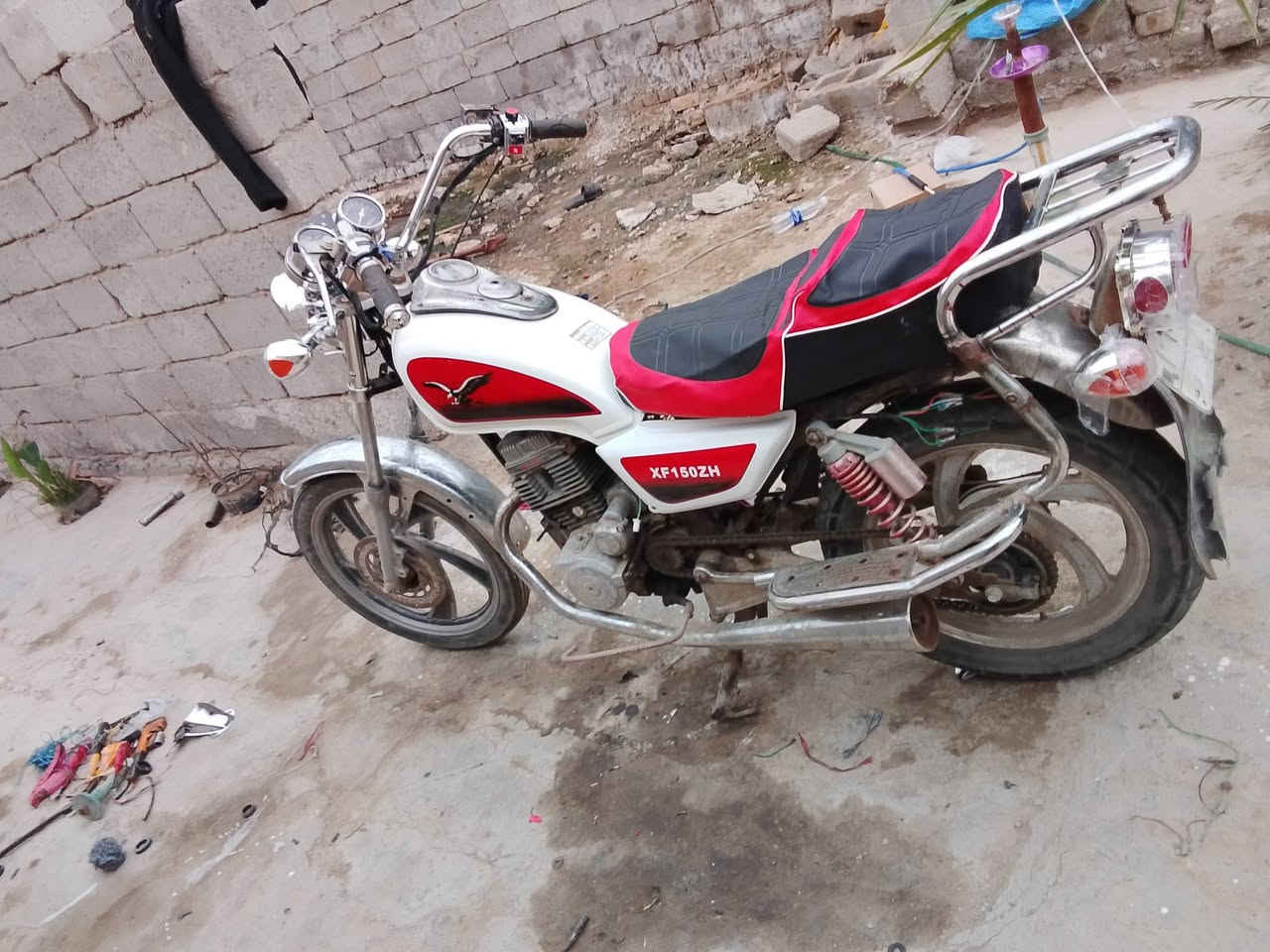 جونده للبيع مو ديل 11رقم وسنويه عضم ***********مكاني الدوانيه
