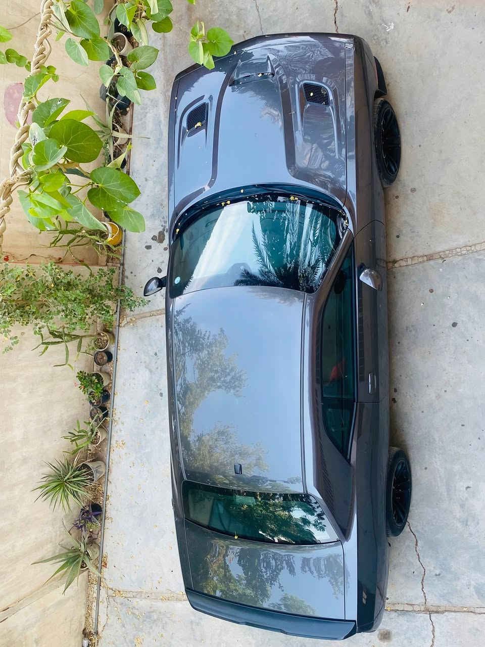 مديل ١٦/ sxt 3600 رقم اربيل حزام اماكن صدر امامي وخلفي وزوج تايرات امامي ومنضومه البانزين كلها نضيفه من الفيت بم لنوزلات والبلكات وتغليف كشنات كل ذني شديتهن جديد مكاني الدوره *********** 
السعر 135 وبي مجال للطيبين
