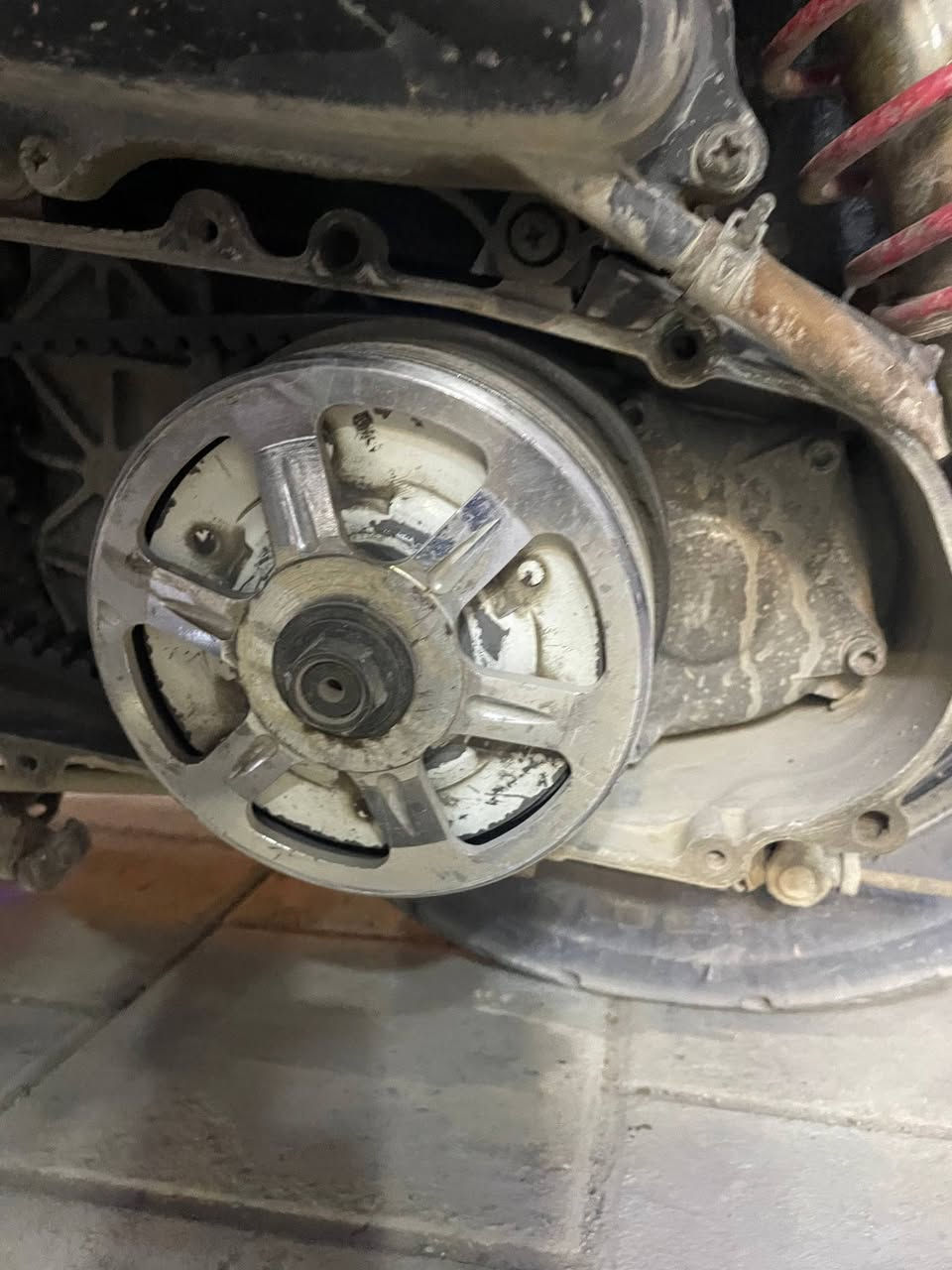 كلمن وسعره ***********
