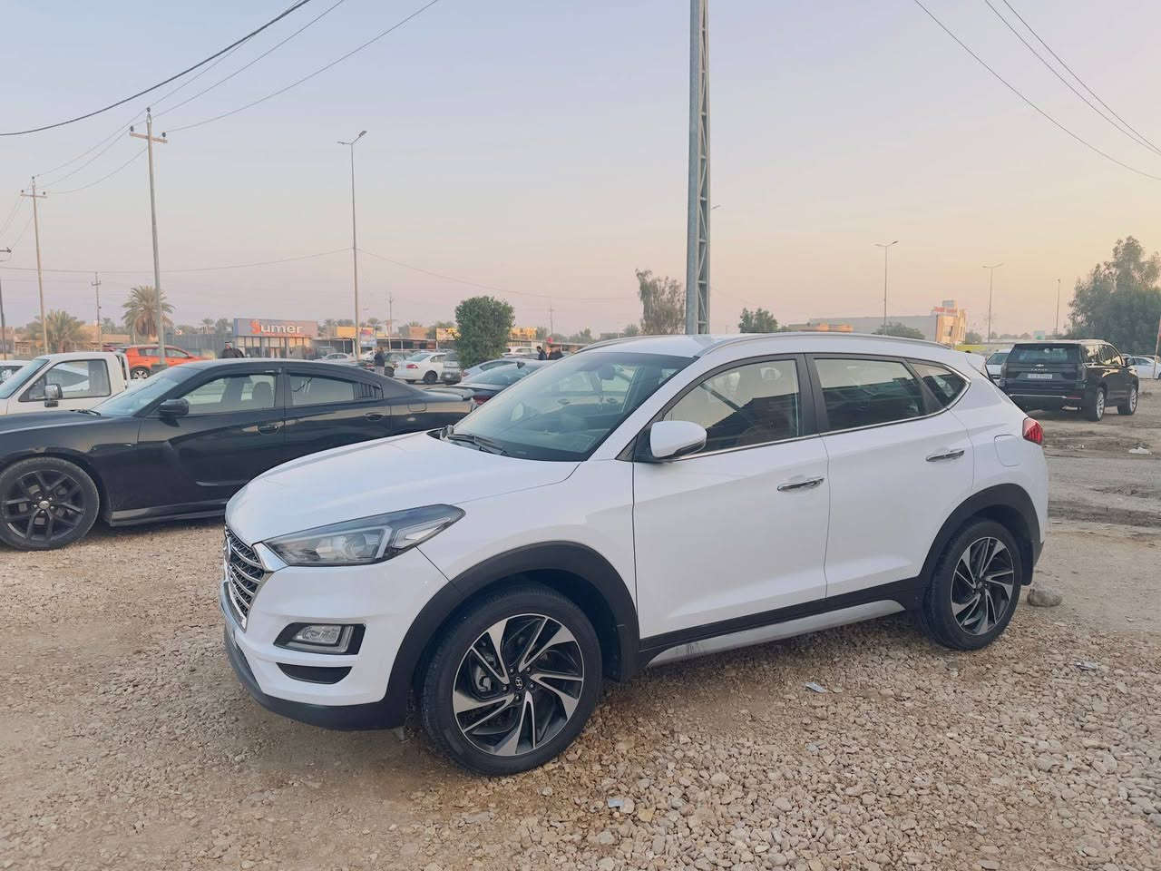 للبيع توسان ٢٠٢٠ بابل خليجي فول عدا البنوراما

كفاله عامه لاصبغ لافتح فقط اربع أصابع بارد بالبنيد

كير محرك حداديه مكفولات

تخم تاير جديد

ماشيه ٩٥

 وضع الشركه تراي زيرو

السعر ١٩٣$ مجال بسيط للشراي

العنوان بابل ***********
