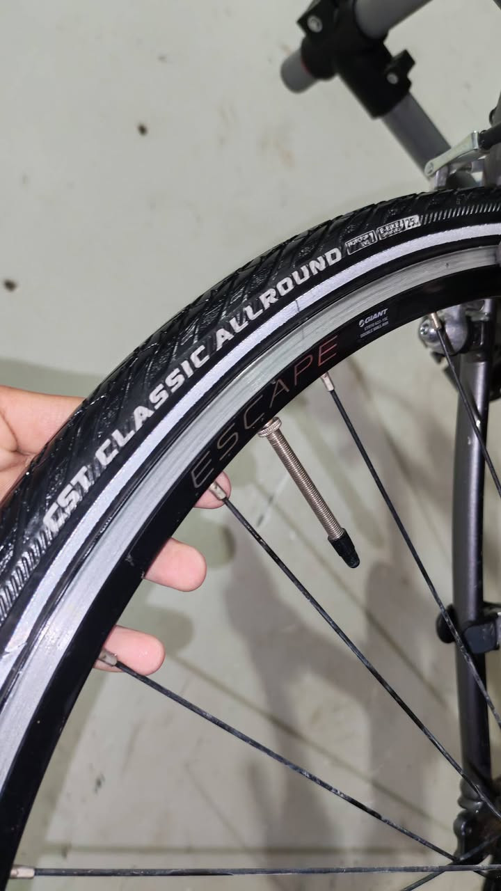 جاينت اسكيب ار 3 حديث موديل 2020
Giant escape r3 2020
- فريم المنيوم مضلع
- سستم شيمانو التوس 3x8
- بريكات تيكترو tektro 
- ويالة اسكيب
- تايرات كتان cst

- دراجة نظيفة وكاملة مكملة وحديثة 

- السعر 190 وبي مجال 

- رقم *********** واتساب
