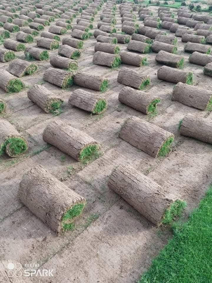 ثيل ديالى الطبيعي 🍀 متوفر كافة انواع الثيل
الثيل امريكي والهندي والايطالي والفرنسي
كادر متخصص :
لتجهيز... مشاتل🌴
والدوائر حكوميه🏦
منازل🏡 منتزهات🏄
موجود خدمة توصيل 🚕🚕 لكل محافظات العراق 
للطلب التواصل مع الصفحة او الاتصال على 
***********
