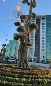 الود السكني • ١٩٠م • ٣ غرف ماستر