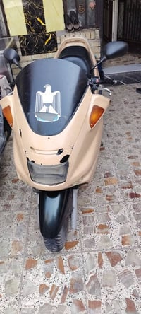 ماجسته مقدس • شغاله • كابريتر