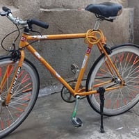 بايسكل سباق فكسد • بي مجال