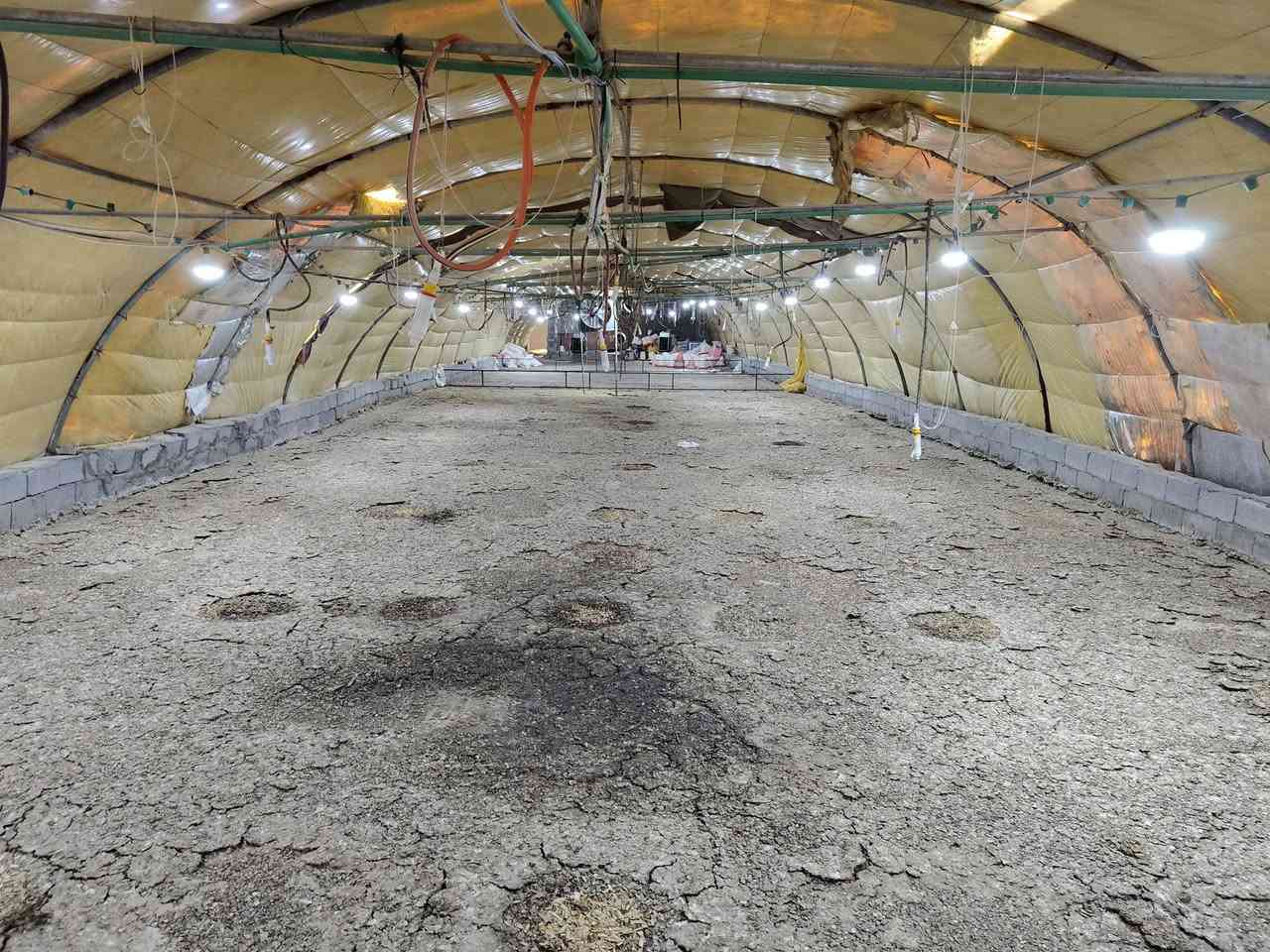 كاع دونمين عقد 35  مع حقل كامل كهرباء بركن حقل مي نهر كدامهه وراهه بير منضومة مي أرو مولد غرفه  ومطبخ الحقل كامل من كلشي واسط كوت قرب سيد عبد العظيم يبعد عن شارع الحي اقل الكيلو كلشي بصور موجود شراي اتصال على رقم ***********
