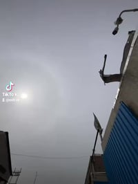 فلاونزه • ٢٠٢٤ • بصره