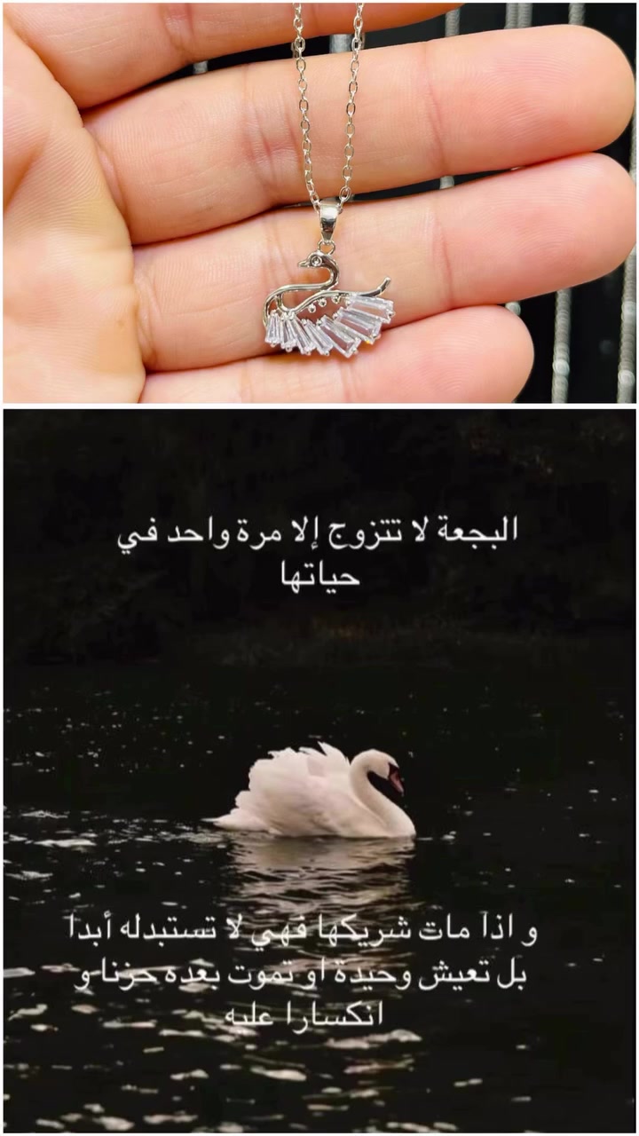قلادة البجعة 🦢 
——-

زورونا لتجدوا المزيد 🚶🏼‍♀️🚶🏼‍♂️
للطلب و الاستفسار راسلونا على الخاص 
شارع الزهور-مجاور الخاشعه مقابيل شركة النسق ومول البشير-#خلخال #ازياء #اناقة #ذهب #صياغة نظارات اكسسوارات ترند


**إذا كنت صاحب هذا الإعلان وتريد حذفه لأي سبب، رجاءا أرسل رسالة إلى الدعم الفني**