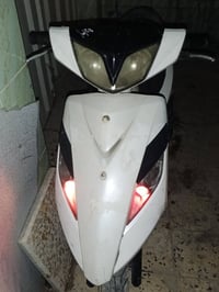 ثعلب • بغداد الحريه • شغالة