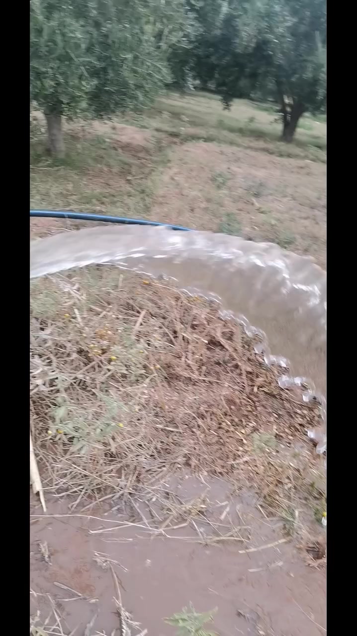 مضخة غاطسة 2hp 220v مونو فاز  المخرج 63 تم تحويله إلى 50  مسافة الدفع 300m و الارتفاع 30m  التدفق يقارب 13tonnes في الساعة مشاء الله تبارك الرحمن الى عجبك المحتوى شارك المقطع و اعمل متابعة للصفحة  تشجيع لنا على نشر المزيد انشاء الله #f #foryou #FIFA


**إذا كنت صاحب هذا الإعلان وتريد حذفه لأي سبب، رجاءا أرسل رسالة إلى الدعم الفني**