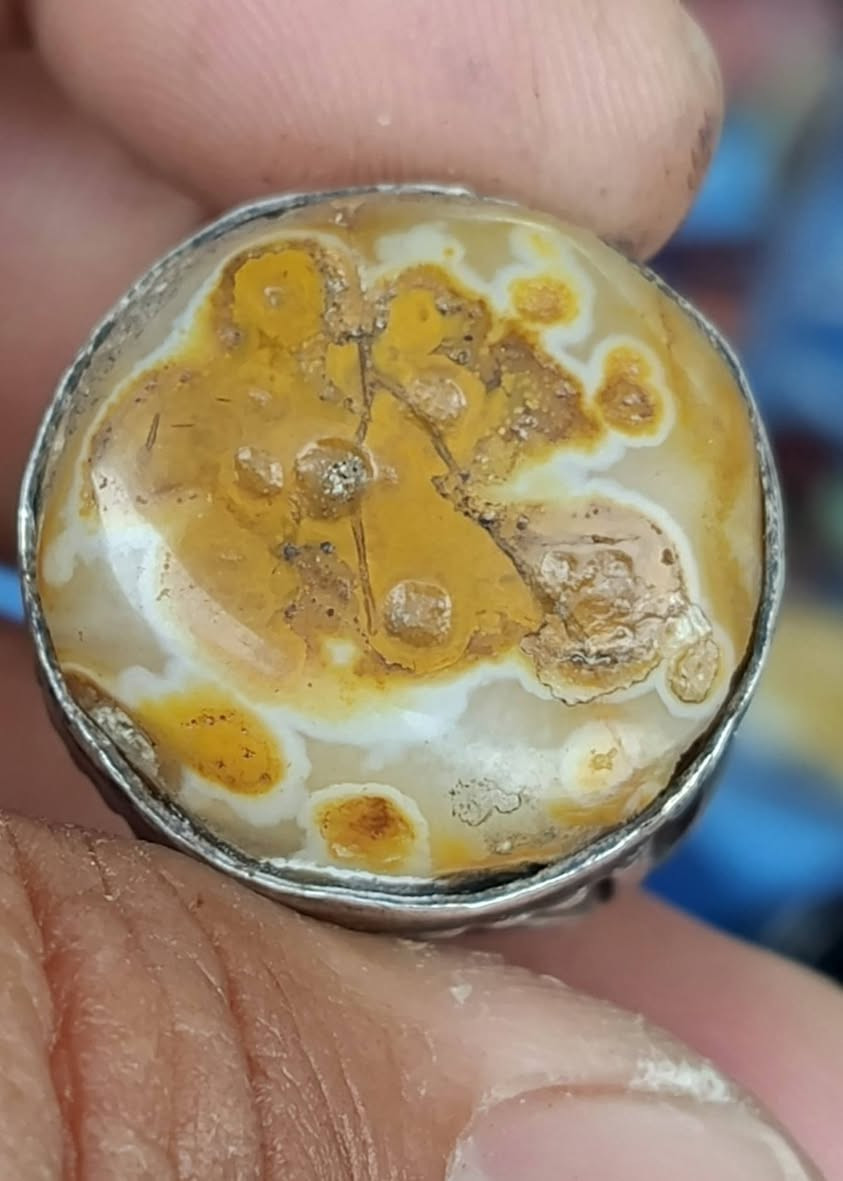 للعشاق داودي للبيع


**إذا كنت صاحب هذا الإعلان وتريد حذفه لأي سبب، رجاءا أرسل رسالة إلى الدعم الفني**