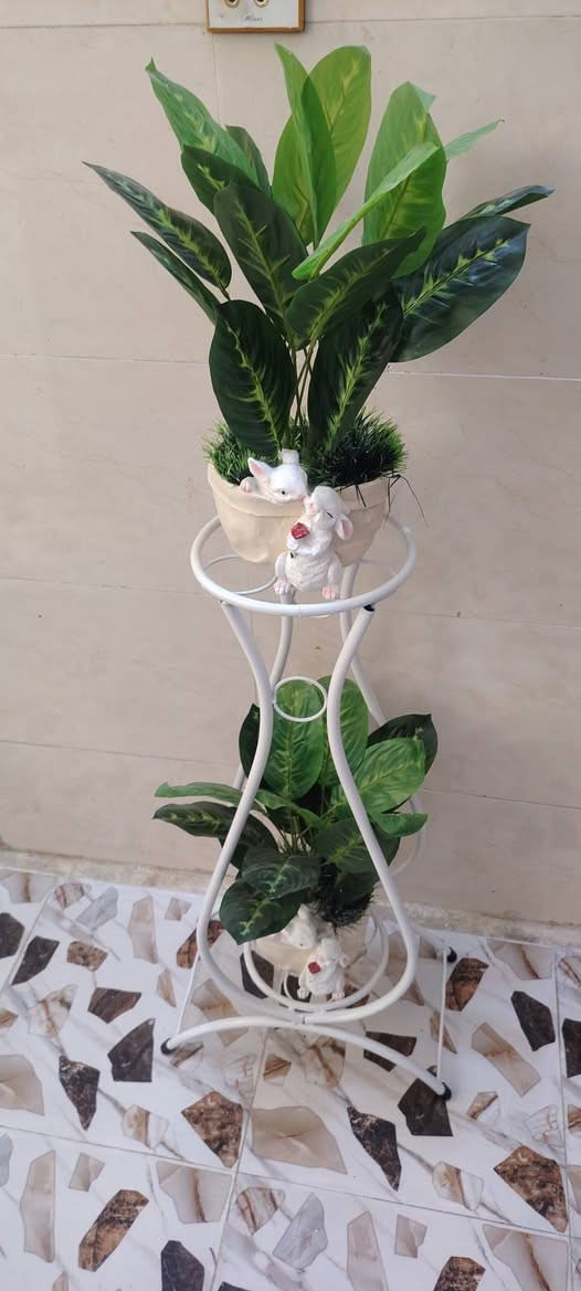 أشجار خضار وسنادين ورد بأشكال جميله وقياسات مختلفه جمله ومفرد للطلب راسل البيج او الاتصال ب الرقم *********** واتساب نفس الرقم
