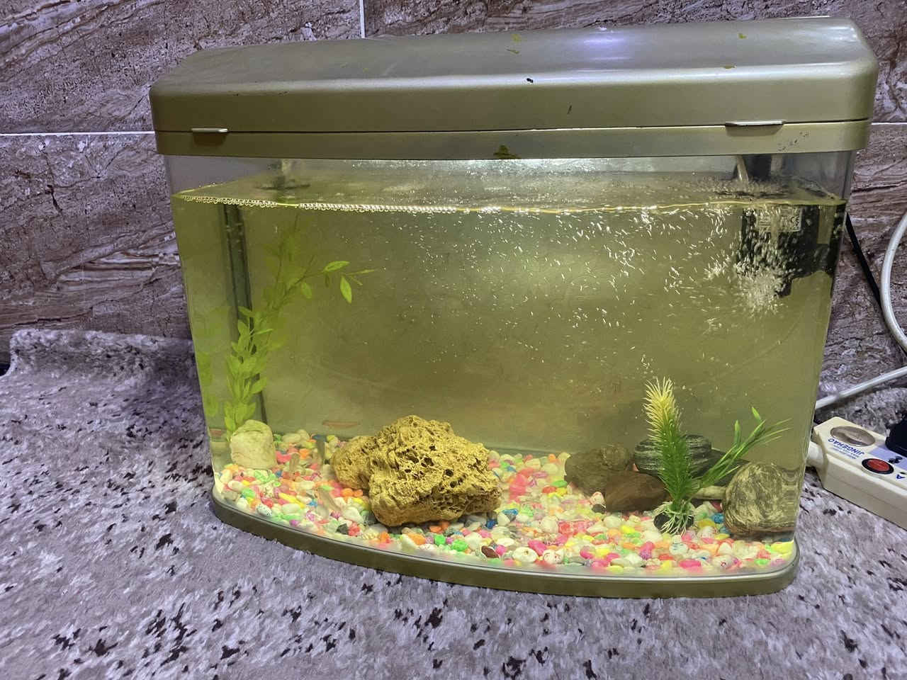 🐬🐬🐬حةوزيكى ماسى شةريكة قياسى ٥٠ سم بو فروشتن لة سليمانى كلو ب و فلتةرى شةريكةى لةكةلة كة بيويستى بة ئاو كورين نى ية و ئوكسجينيش دروست دةكات بو ئاوةكة 🐬 بةردى رةنكاو رةنك و كةورة و وةسةتى لةكةلةو دوو و سى جورى گياى تياية 🐬🐬


**إذا كنت صاحب هذا الإعلان وتريد حذفه لأي سبب، رجاءا أرسل رسالة إلى الدعم الفني**