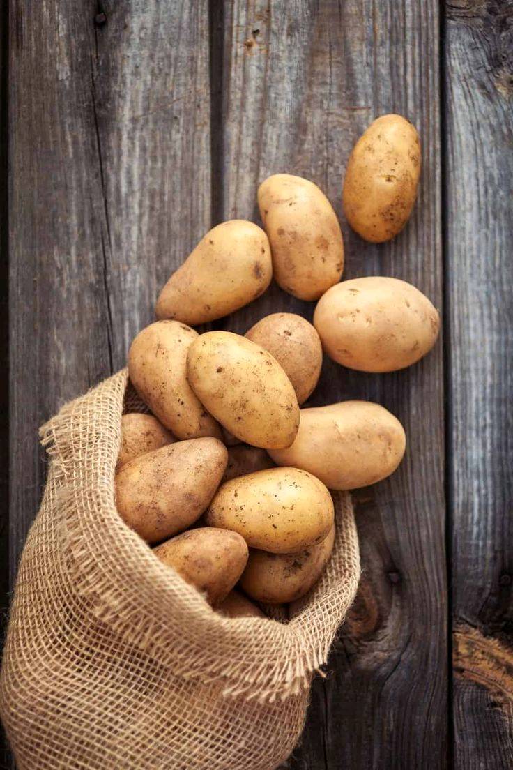 🌞 بهذا الحر... ليش تتعب نفسك؟

خلّ مسوكجي النجف ينجز مشاويرك عنك!

🥒 خضار طازجة
🍎 فواكه مختارة
🚗 توصيل سريع إلى باب البيت

وفر وقتك، وابتعد عن زحمة الأسواق وحرّ الشمس.

📩 راسلنا بطلبك، وخلي الراحة علينا.***********

مسوكجي النجف... مشوارك علينا، وراحتك هدفنا. 💚