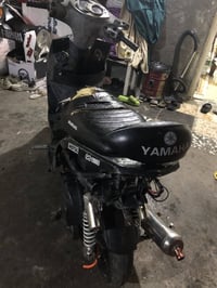 سكنس فحل نوزل تفصيخ تفصيخ فقط مكان بغداد جميله 07776802861