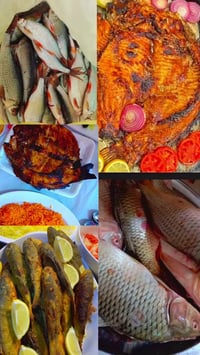 تنضيف سمج • تتبيل وقلي • توصيل بغداد