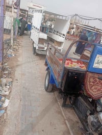 ستوتات • الراعيه • اوراق