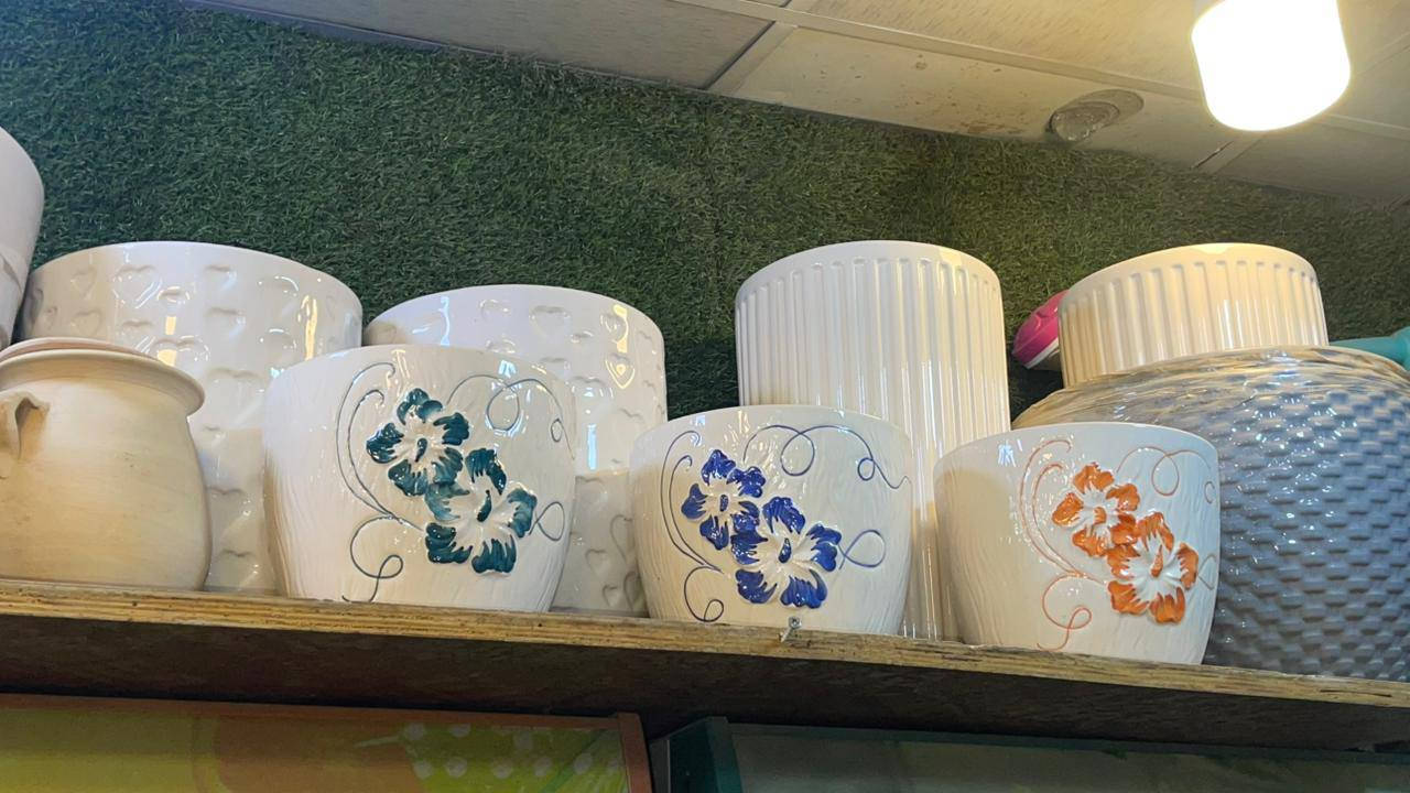 عاجل ...تصفية محل تصفية محل
نباتات راقية بأسعار مناسبة جدا 
العنوان واسطي مجاورة دائرة المعوقين 
رقم صاحب المحل ***********
