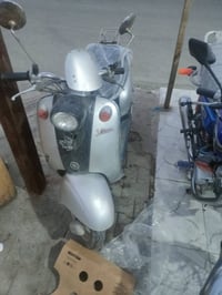 فينو • فول نضيف • سلف