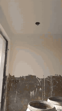 كادر بيضجيه شغل درجه اولى متفرق حالين ٠٧٧٧٥٦٨٧٧٨٦