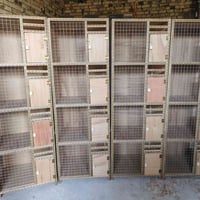 خانات • جملة ومفرد • قضاء رفاعي