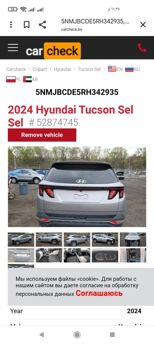 24 بدون رقم
ماشيه33
بيه بخشم الشاصي شويه الأيسر
170 وبيه مجال قليل 
***********
مكانه حله
