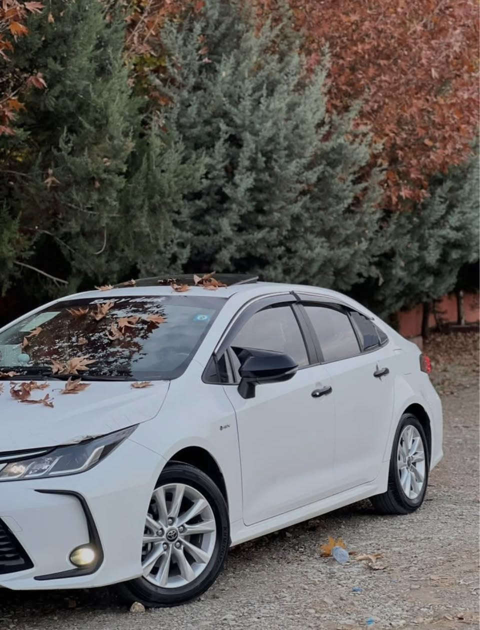 تويتا كرولا هايبرد 2025 رقم كركوك سيارة كلين ماشي13الف شرط تحويل و كالة دفتر بانزين سعر140 وبيها مجال رقم موبايل ***********
