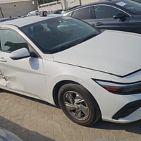 النترا • ٢٠٢٤ • سوق الشيوخ