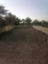 طابو زراعي • ٥٠٠م • قرب منتجع الرحمن