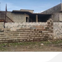 هيكل • ١٠٠م • بنجه علي