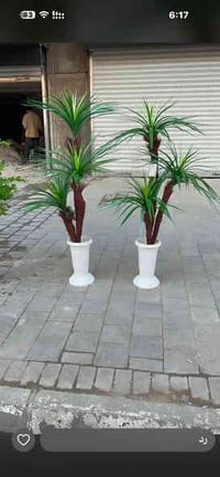 محمد ورد بغداد شورجه عماره الضمان 07706948669